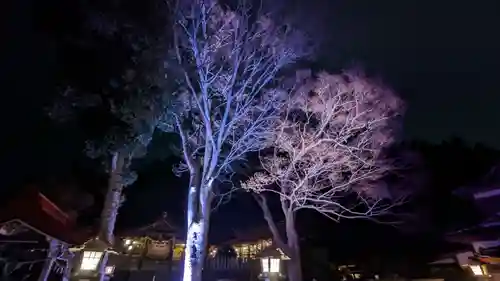 金蛇水神社(宮城県)