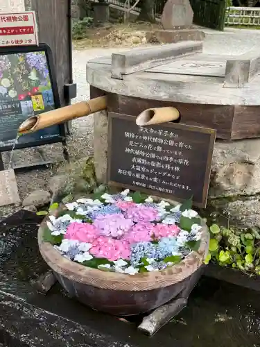 深大寺(東京都)