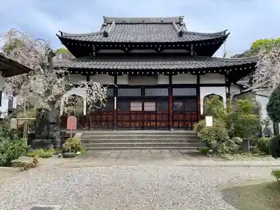 青雲寺(東京都)