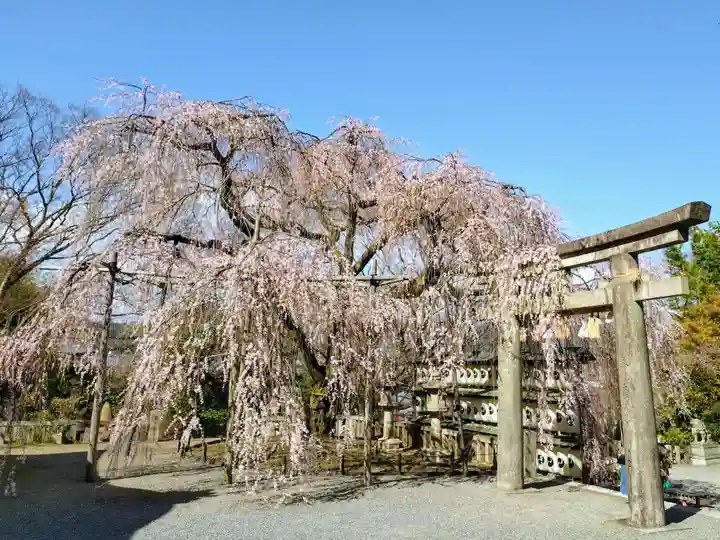 大石神社(京都府)
