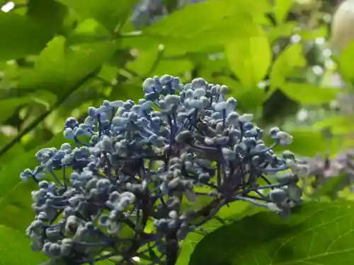 浄智寺(神奈川県)