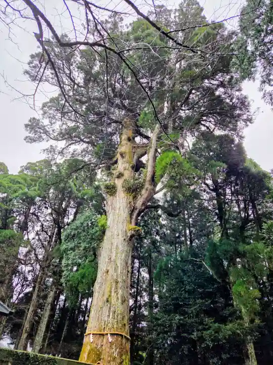 霧島神宮(鹿児島県)