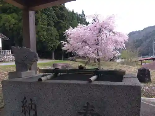 熊野神社(京都府)