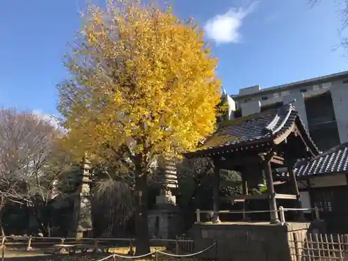 新井薬師（梅照院）のその他建物