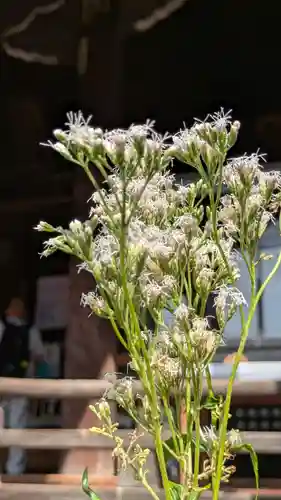 行願寺（革堂）(京都府)