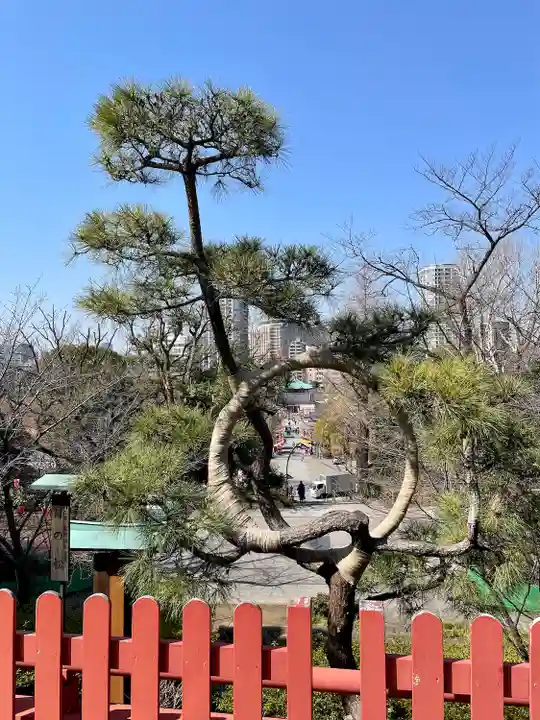 清水観音堂の自然