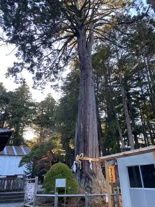 北口本宮冨士浅間神社の自然