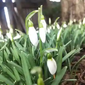 七重浜海津見神社(北海道)(2026年03月23日(月) 08時08分05秒投稿)