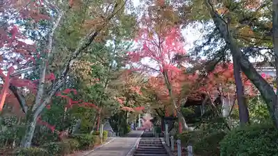 粟田神社(京都府)