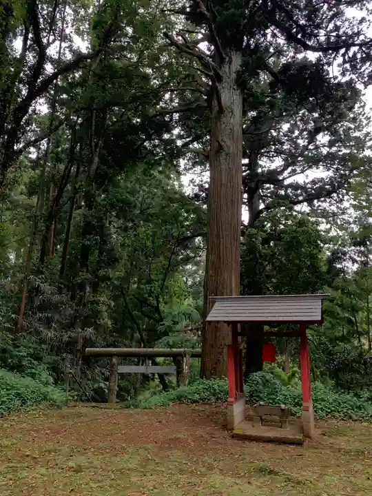 天神社(千葉県)