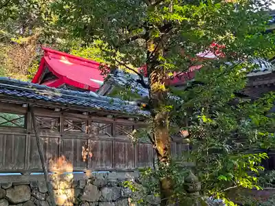 伊富岐神社の本殿・本堂