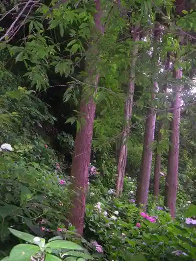 御霊神社の自然