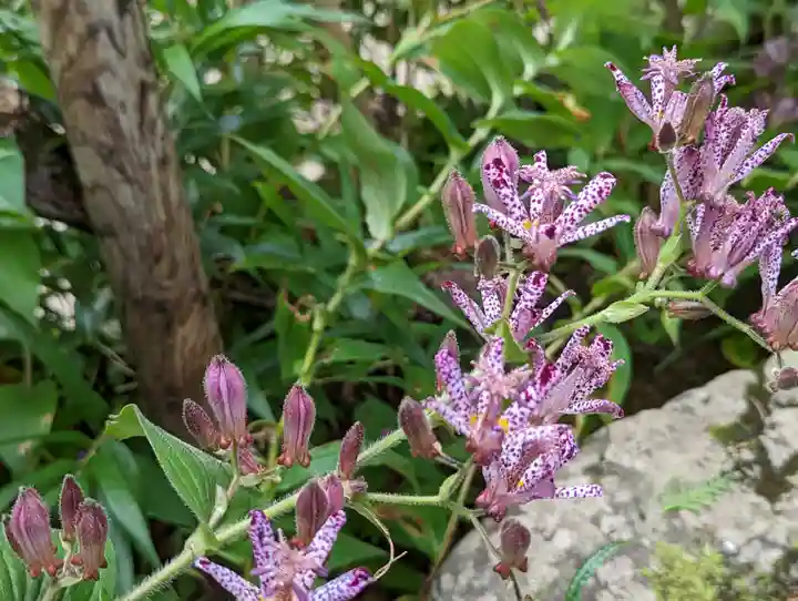 詩仙堂(丈山寺)(京都府)