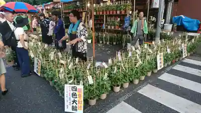 真源寺(入谷鬼子母神)(東京都)