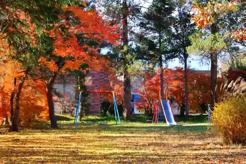 青柳神社の景色
