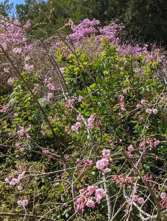 日向大神宮(京都府)