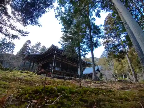 神護寺の{uncategorized: "未分類", other: "その他", undefined: "問題あり", building: "その他建物", grave: "お墓", sacred_gate: "鳥居", guardian: "狛犬", statue: "像", buddha: "仏像", history: "歴史", nature: "自然", garden: "庭園", animal: "動物", pagoda: "塔", temizu: "手水舎", mountain_gate: "山門・神門", sanctuary: "本殿・本堂", subordinate: "末社・摂社", art: "芸術", scenery: "景色", jizo: "地蔵", ema: "絵馬", goshuin: "御朱印", omikuji: "おみくじ", items: "授与品その他", amulet: "お守り", goshuincho: "御朱印帳", eats: "食事", festival: "お祭り", votive_dance: "神楽", shichigosan: "七五三参", wedding: "結婚式", experience: "体験その他", initially: "初詣", around: "周辺", anti_infection: "感染症対策"}