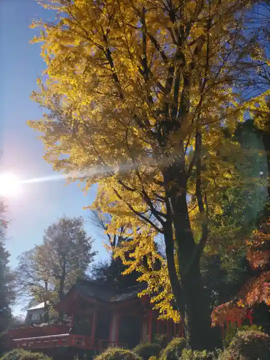 根津神社(東京都)