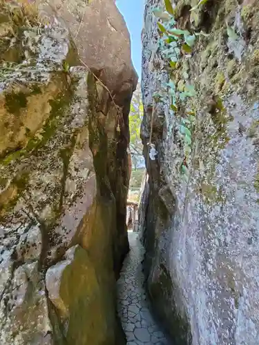 阿賀神社の自然