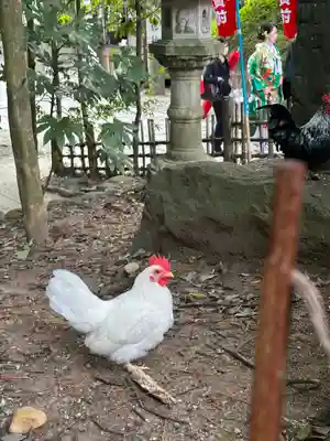 大崎八幡宮(宮城県)