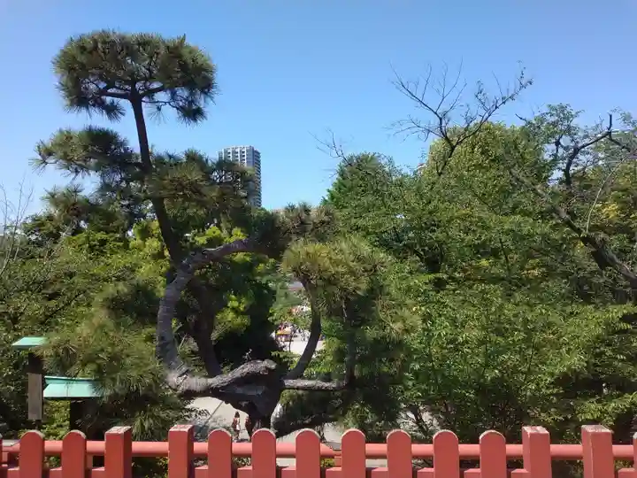 清水観音堂(東京都)