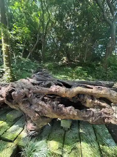 泉神社(茨城県)