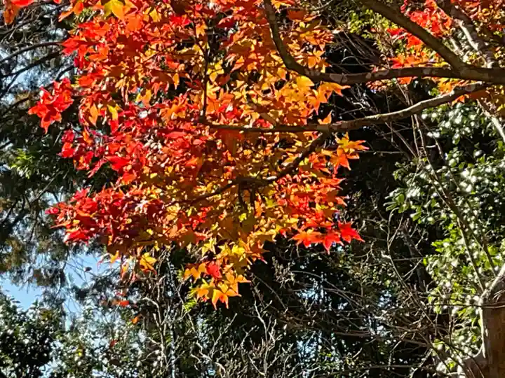 龍潭寺(滋賀県)