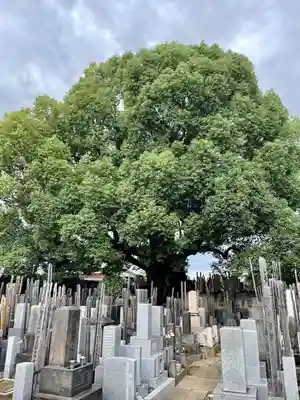 感應寺(東京都)