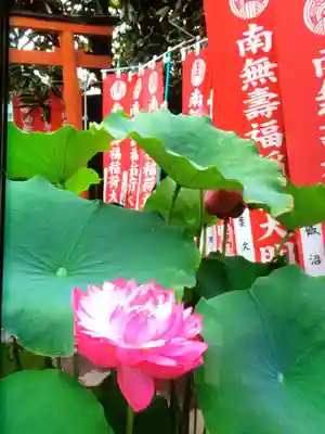 宗延寺(東京都)