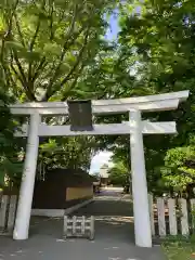 亀田八幡宮の鳥居