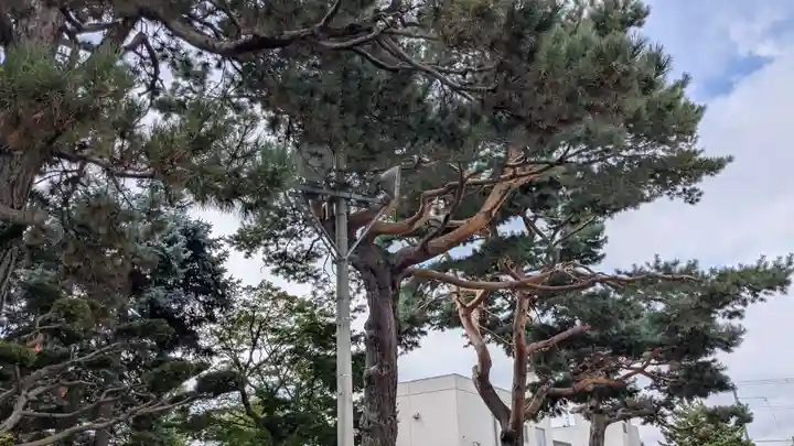 本願寺帯広別院の自然