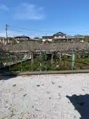 西寒多神社(大分県)