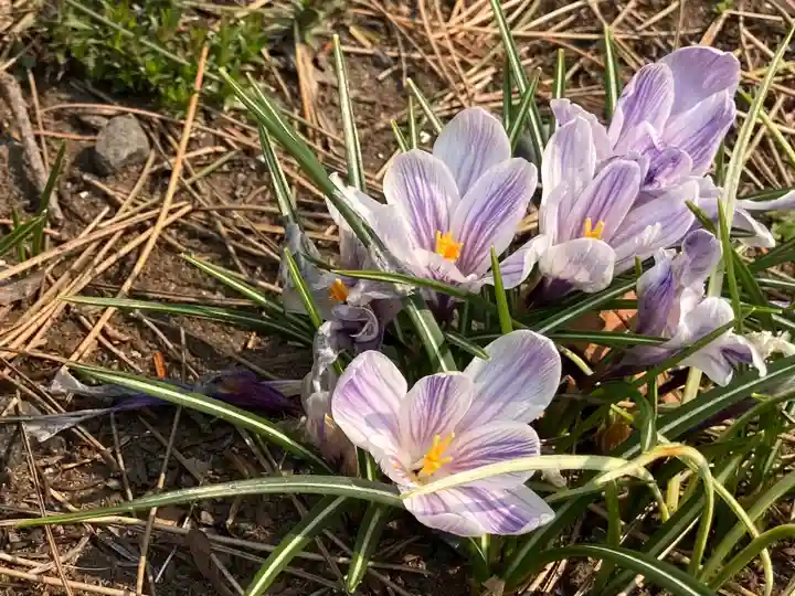 南線神社(北海道)