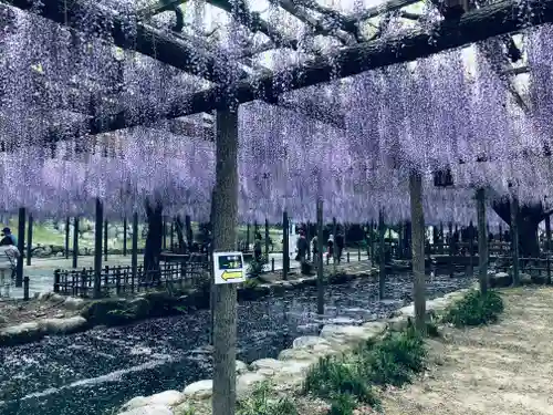 津島神社の自然