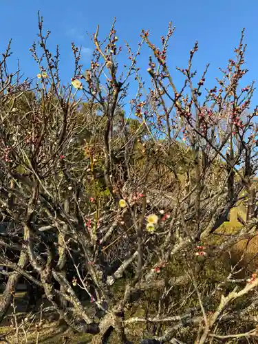 太宰府天満宮(福岡県)