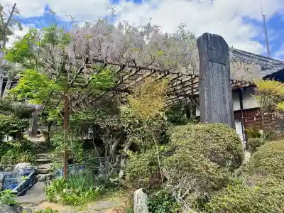 隅田八幡神社(和歌山県)