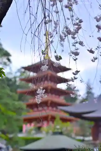 高幡不動尊　金剛寺(東京都)