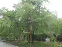 行福寺(愛知県)