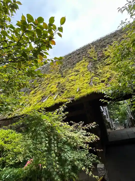 杉本寺(神奈川県)