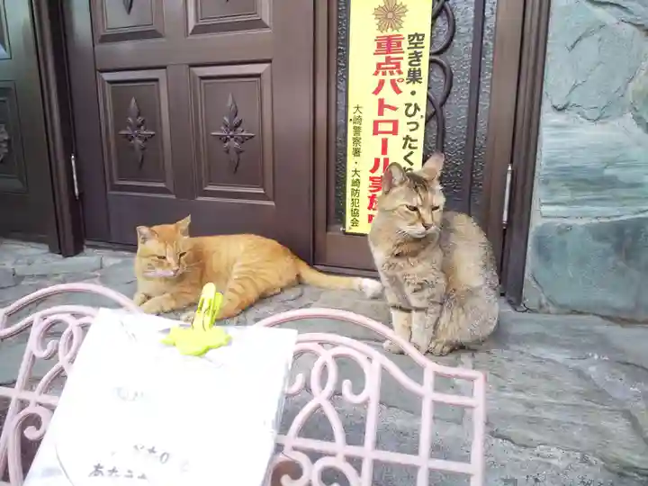 居木神社の動物