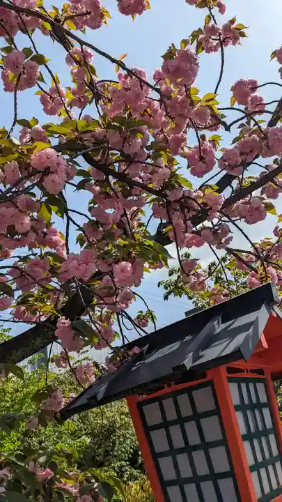 六孫王神社(京都府)