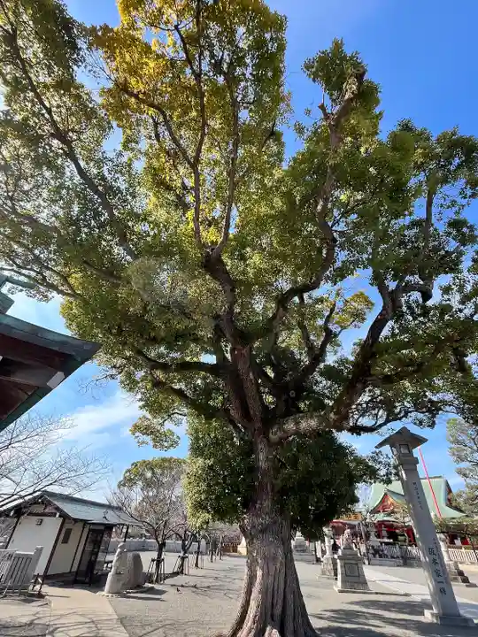 成田山大阪別院 明王院(大阪府)