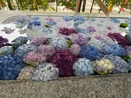 桜神宮(東京都)