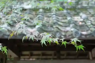 洲原神社(岐阜県)