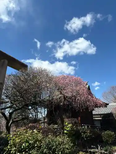 五條天神社(東京都)