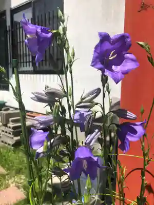 宝壽山 吉祥院(北海道)