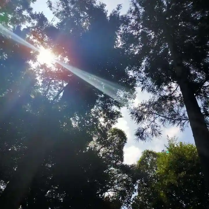 火皇子神社(千葉県)