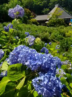 陽林寺(福島県)