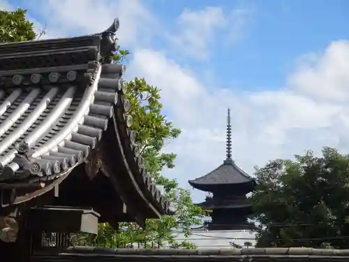 観智院（東寺子院）の景色