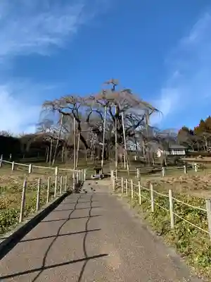 瀧桜神明宮(福島県)